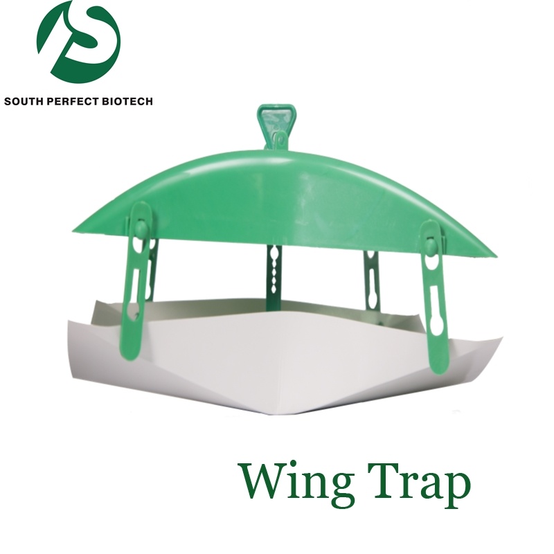Wing Trap